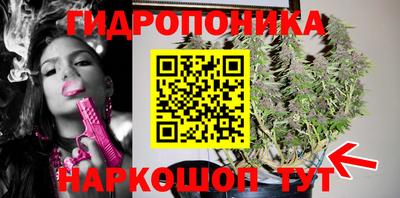 не бодяженный Дмитров